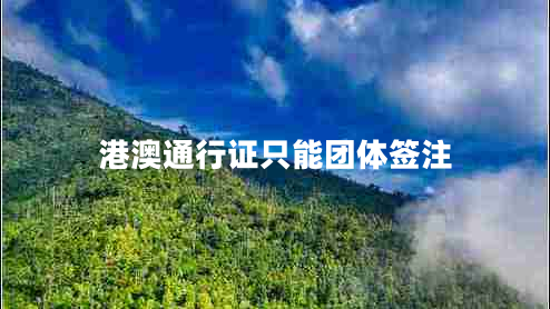 港澳通行證只能團體簽注 港澳通行證只能團體簽注