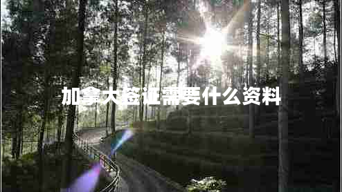 加拿大簽證需要什么資料 加拿大簽證需要什么資料