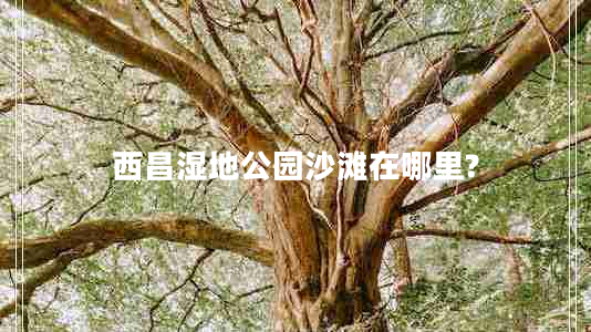 西昌濕地公園沙灘在哪里? 西昌濕地公園沙灘在哪里?