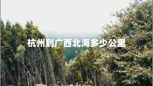 杭州到廣西北海多少公里 杭州到廣西北海多少公里