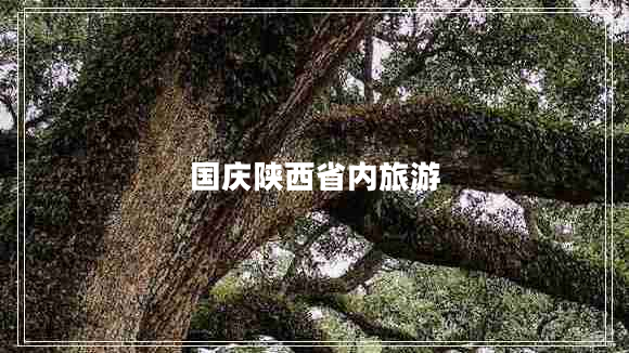 國慶陜西省內(nèi)旅游 國慶陜西省內(nèi)旅游