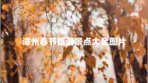 漳州春節(jié)旅游景點(diǎn)大全圖片 漳州春節(jié)旅游景點(diǎn)大全圖片