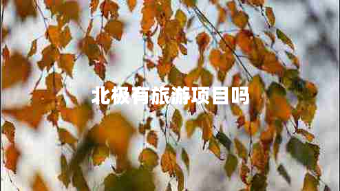 北極有旅游項目嗎 北極有旅游項目嗎