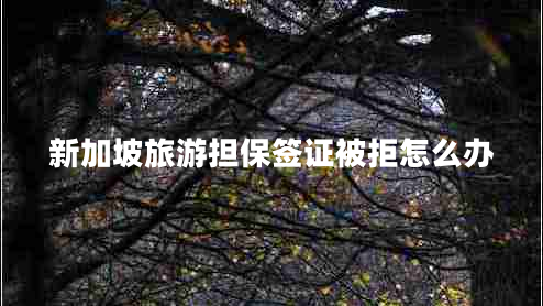 新加坡旅游擔(dān)保簽證被拒怎么辦 新加坡旅游擔(dān)保簽證被拒怎么辦