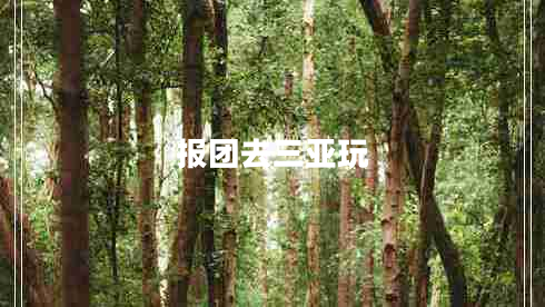 報(bào)團(tuán)去三亞玩