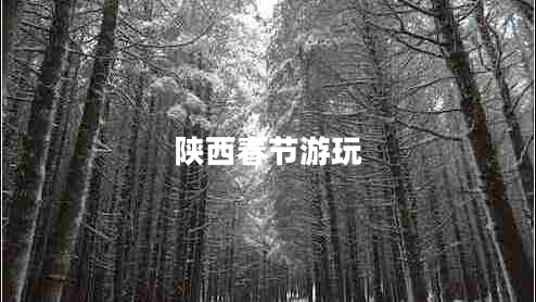 陜西春節(jié)游玩 陜西春節(jié)游玩