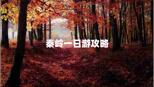 秦嶺一日游攻略