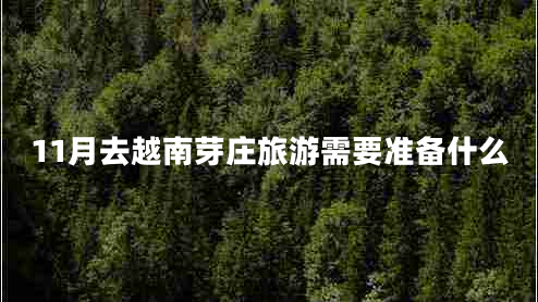 11月去越南芽莊旅游需要準(zhǔn)備什么 11月去越南芽莊旅游需要準(zhǔn)備什么