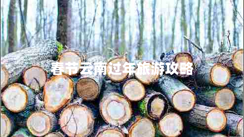 春節(jié)云南過年旅游攻略 春節(jié)云南過年旅游攻略