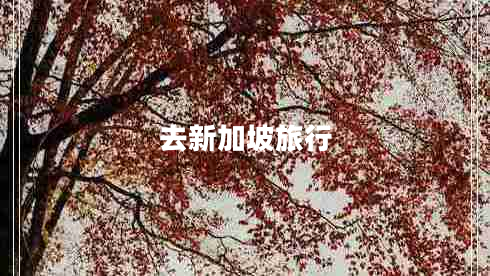 去新加坡旅行 去新加坡旅行