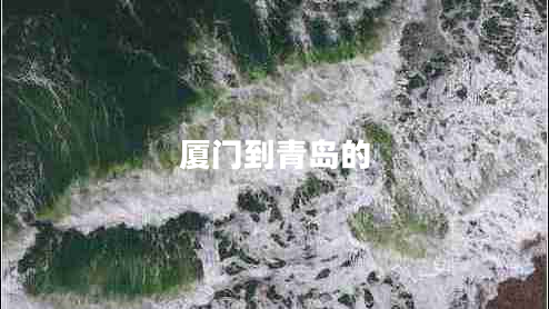 廈門到青島的 廈門到青島的
