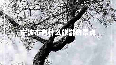 寧波市有什么旅游的景點 寧波市有什么旅游的景點