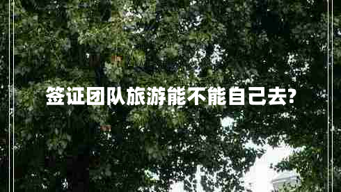 簽證團(tuán)隊旅游能不能自己去? 簽證團(tuán)隊旅游能不能自己去?