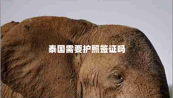 泰國需要護(hù)照簽證嗎 泰國需要護(hù)照簽證嗎