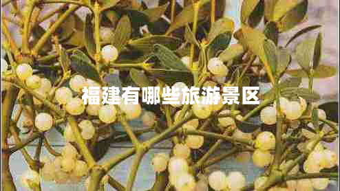 福建有哪些旅游景區(qū) 福建有哪些旅游景區(qū)