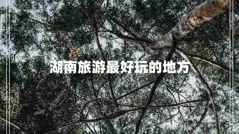 湖南旅游最好玩的地方 湖南旅游最好玩的地方