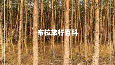 布拉旅行百科 布拉旅行百科