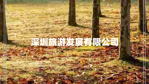 深圳旅游發(fā)展有限公司 深圳旅游發(fā)展有限公司