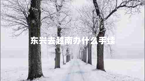 東興去越南辦什么手續(xù)