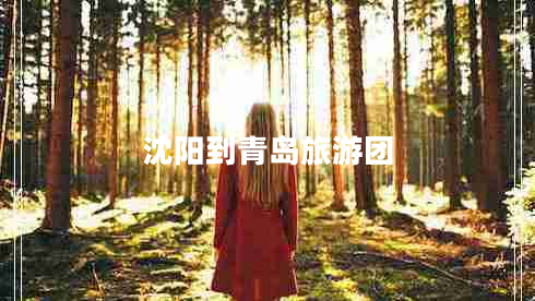 沈陽到青島旅游團 沈陽到青島旅游團
