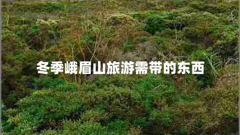 冬季峨眉山旅游需帶的東西 冬季峨眉山旅游需帶的東西