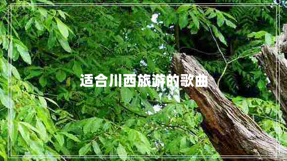 適合川西旅游的歌曲 適合川西旅游的歌曲