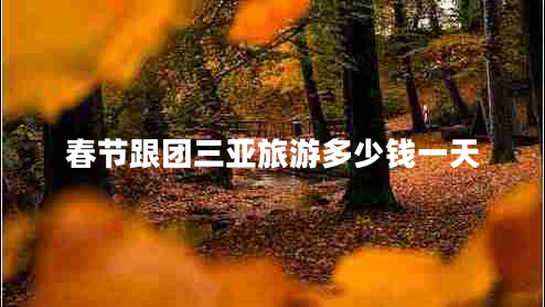 春節(jié)跟團(tuán)三亞旅游多少錢一天