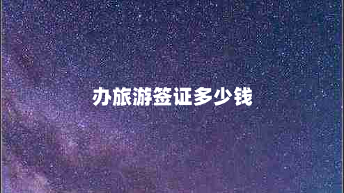 辦旅游簽證多少錢 辦旅游簽證多少錢