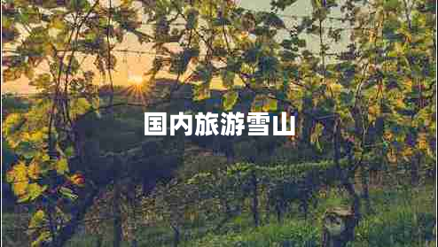 國內(nèi)旅游雪山 國內(nèi)旅游雪山