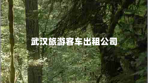 武漢旅游客車出租公司