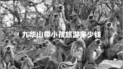 九華山帶小孩旅游多少錢(qián)