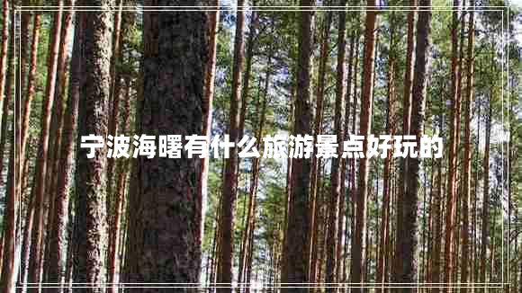 寧波海曙有什么旅游景點(diǎn)好玩的 寧波海曙有什么旅游景點(diǎn)好玩的