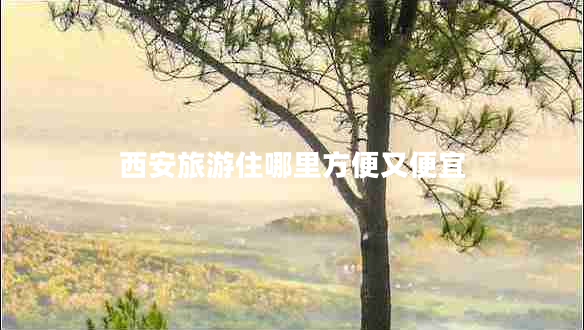 西安旅游住哪里方便又便宜 西安旅游住哪里方便又便宜