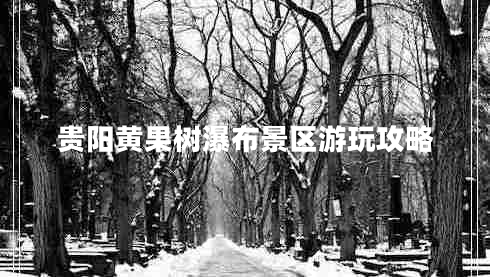 貴陽黃果樹瀑布景區(qū)游玩攻略 貴陽黃果樹瀑布景區(qū)游玩攻略