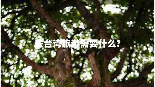 去臺灣旅游需要什么? 去臺灣旅游需要什么?
