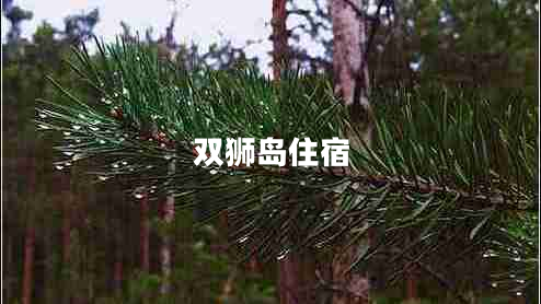 雙獅島住宿 雙獅島住宿