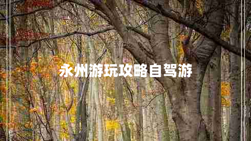 永州游玩攻略自駕游 永州游玩攻略自駕游