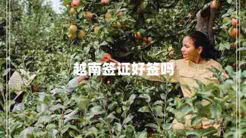 越南簽證好簽嗎