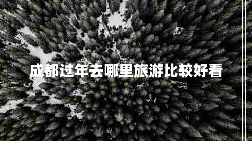 成都過年去哪里旅游比較好看