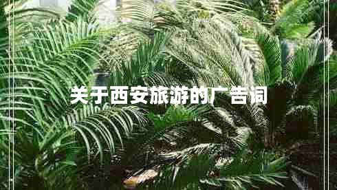 關(guān)于西安旅游的廣告詞 關(guān)于西安旅游的廣告詞