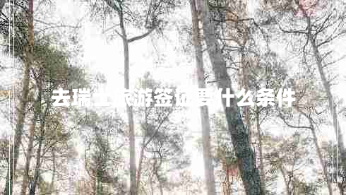 去瑞士旅游簽證要什么條件 去瑞士旅游簽證要什么條件