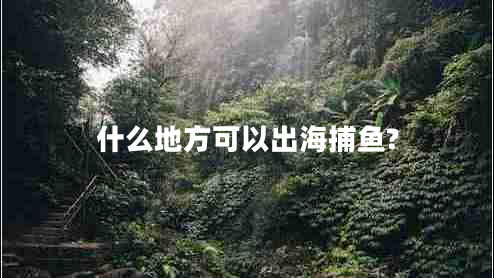 什么地方可以出海捕魚? 什么地方可以出海捕魚?
