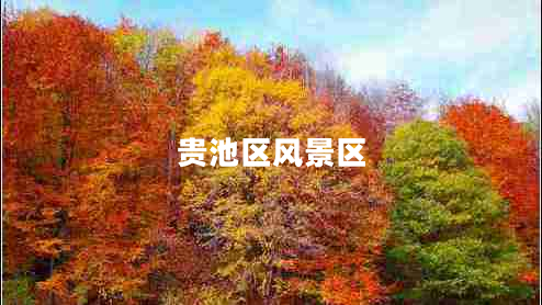 貴池區(qū)風(fēng)景區(qū) 貴池區(qū)風(fēng)景區(qū)