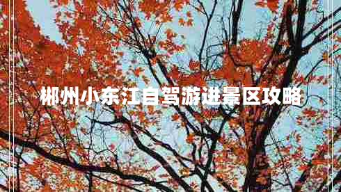 郴州小東江自駕游進(jìn)景區(qū)攻略 郴州小東江自駕游進(jìn)景區(qū)攻略