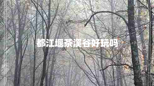 都江堰茶溪谷好玩嗎 都江堰茶溪谷好玩嗎