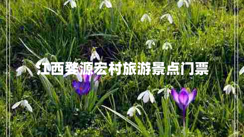 江西婺源宏村旅游景點(diǎn)門票 江西婺源宏村旅游景點(diǎn)門票