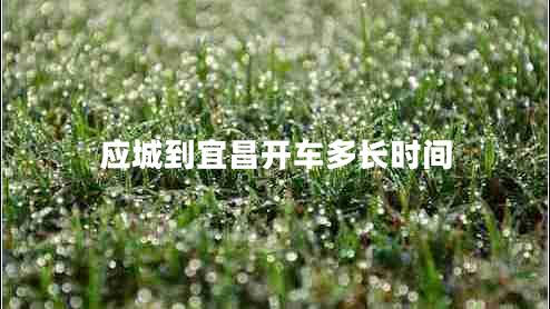 應城到宜昌開車多長時間