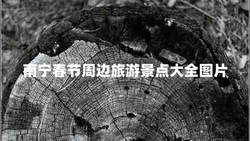 南寧春節(jié)周邊旅游景點(diǎn)大全圖片