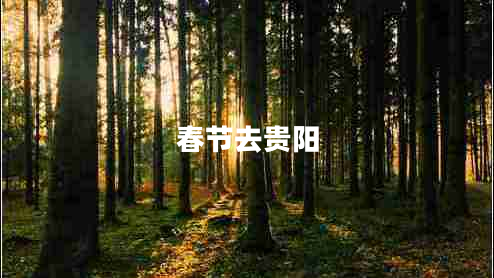 春節(jié)去貴陽