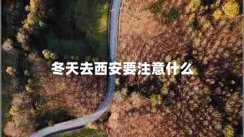 冬天去西安要注意什么
